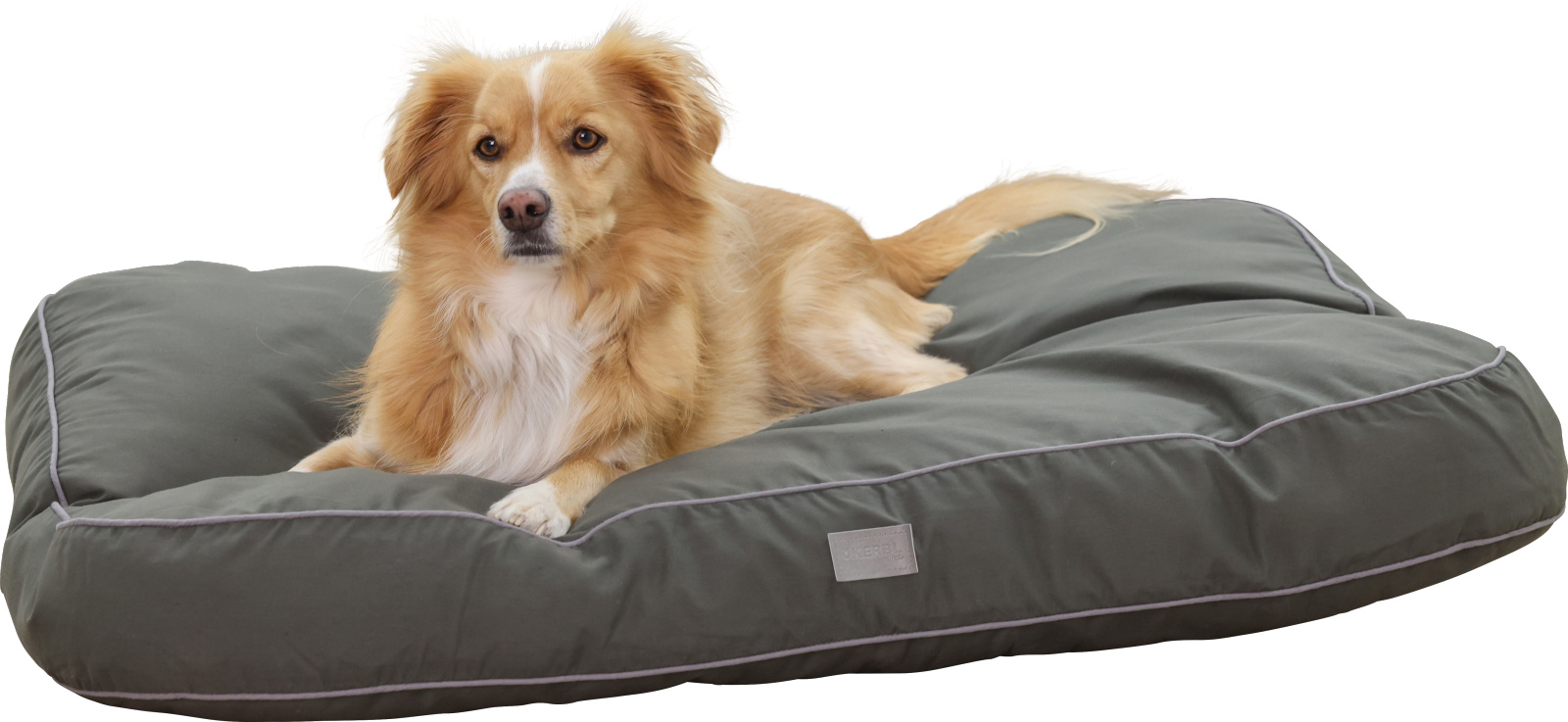 Kerbl Pet Jerome cuscino cane imbottito antiscivolo