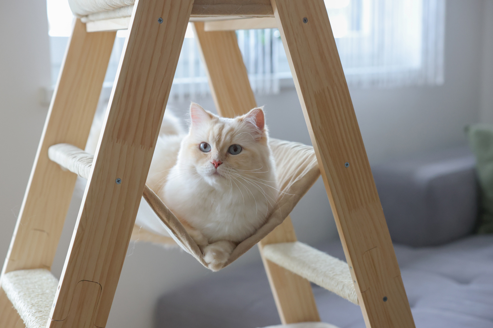 Kerbl Cat Ladder tiragraffi scala sisal 3 posti