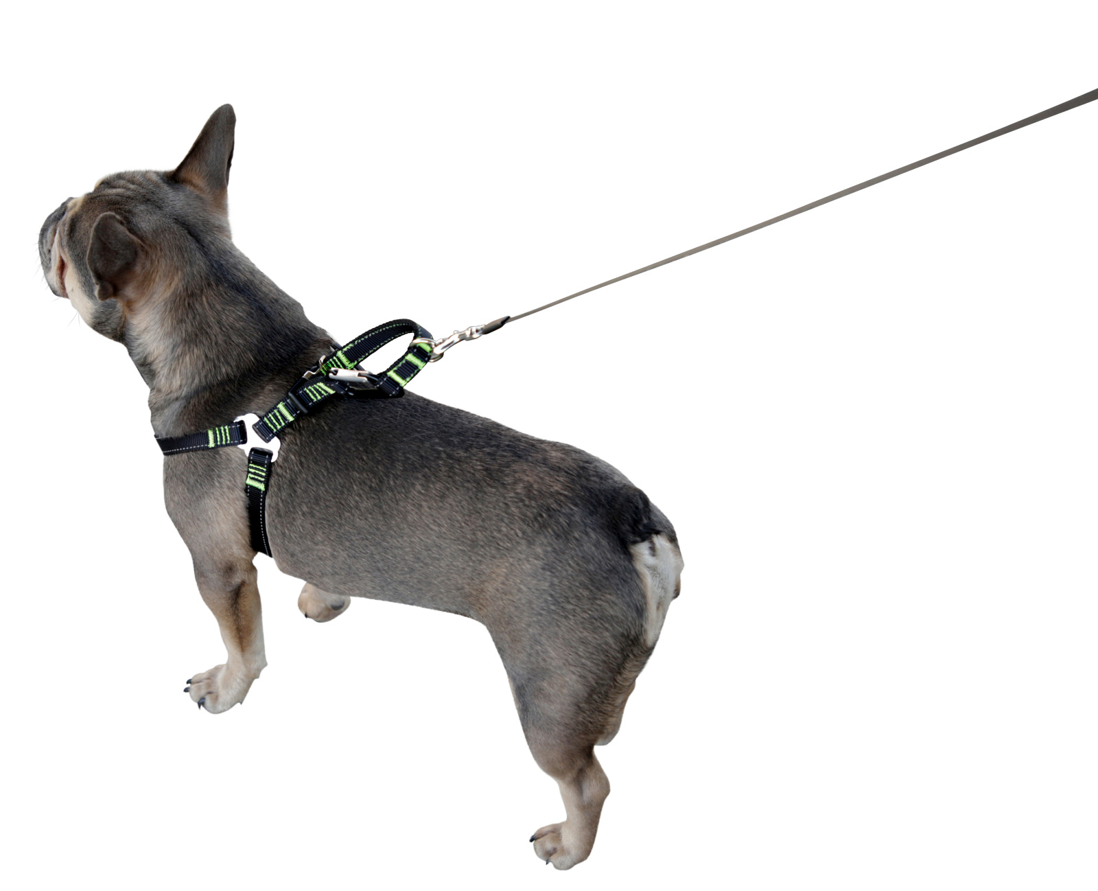 Kerbl Car Safety Harness pettorina auto cane nylon imbottita