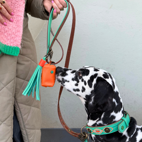 Dog with a Mission Buddy porta sacchetti cane arancione