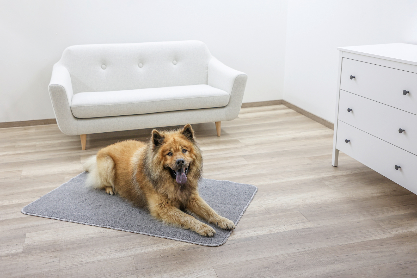 Kerbl Dog Rest Places tappeto termico antiscivolo cane caldo