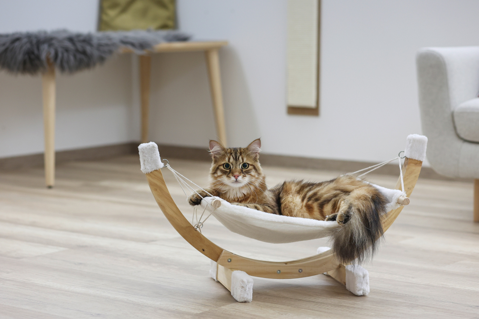 Kerbl Pet Siesta Amaca per Gatti in Peluche con Telaio Legno