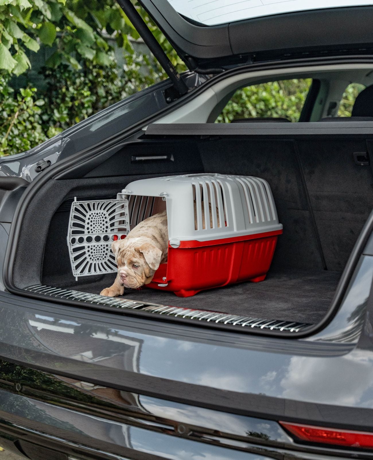 Lionto Trasportino 55x36x36 cm Box Cani Gatti Antracite