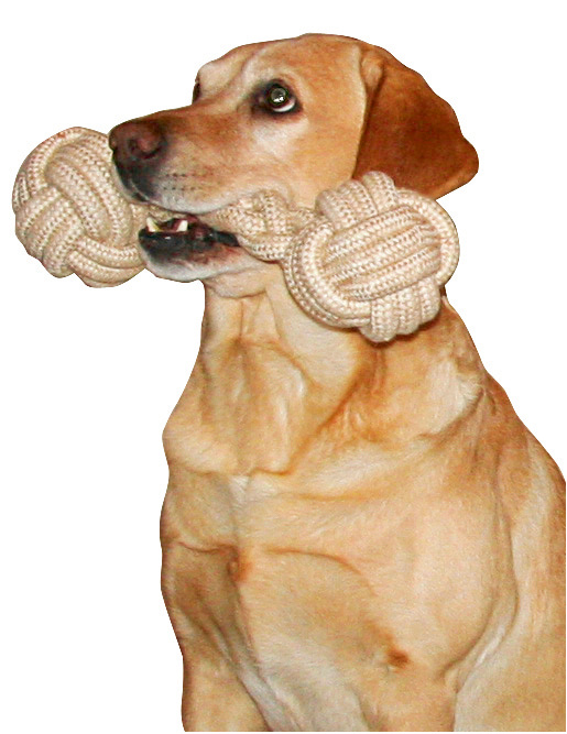 Kerbl Pet Dumbbell gioco per cani manubrio iuta e cotone