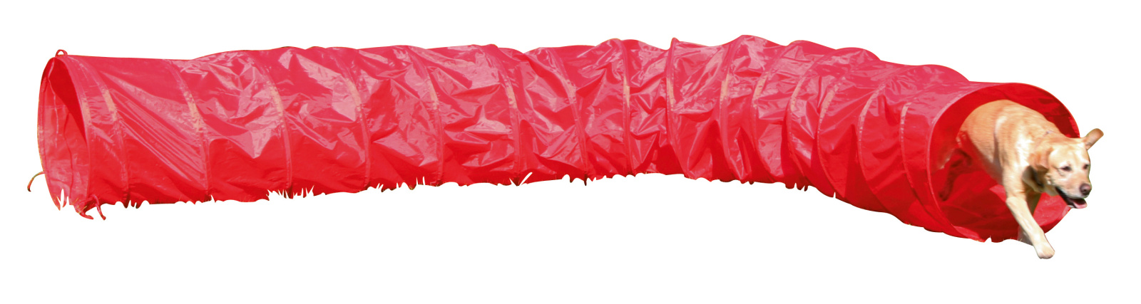 Kerbl Tunnel Agility Cane in nylon con picchetti e sacca