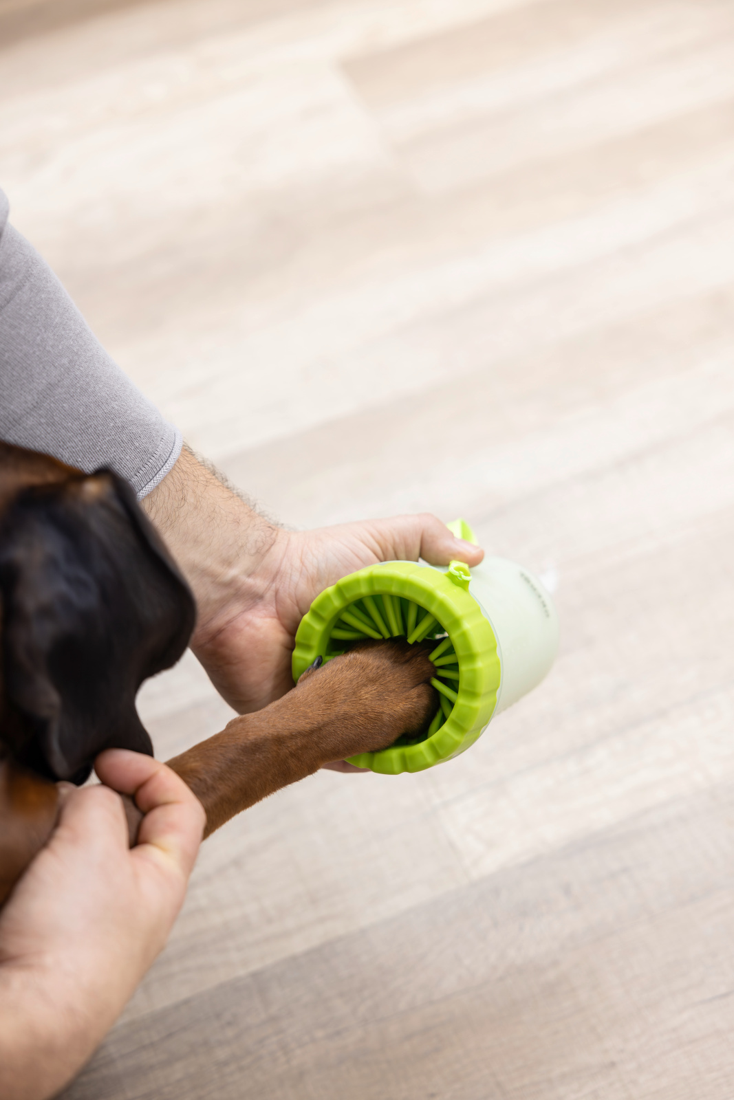 Kerbl Pet Dog Care Pulisci Zampe Cane con Setole TPR