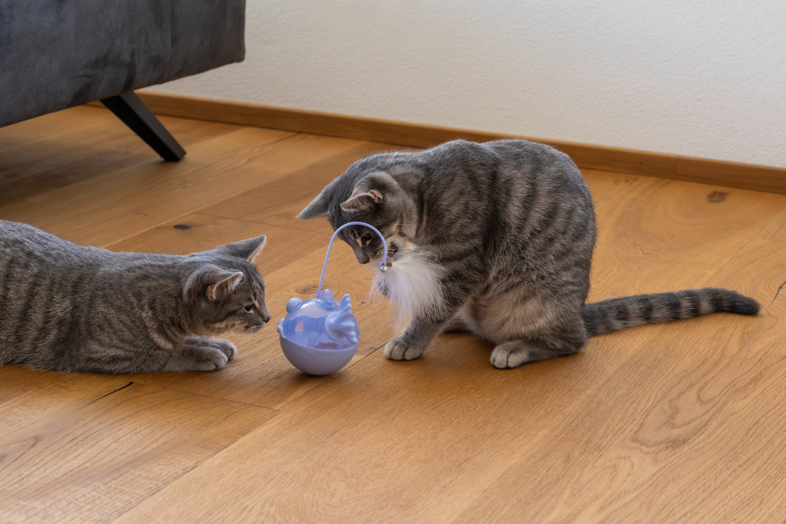 Kerbl Pet Snack Ball Fish palla snack per gatti pesce con sonaglio