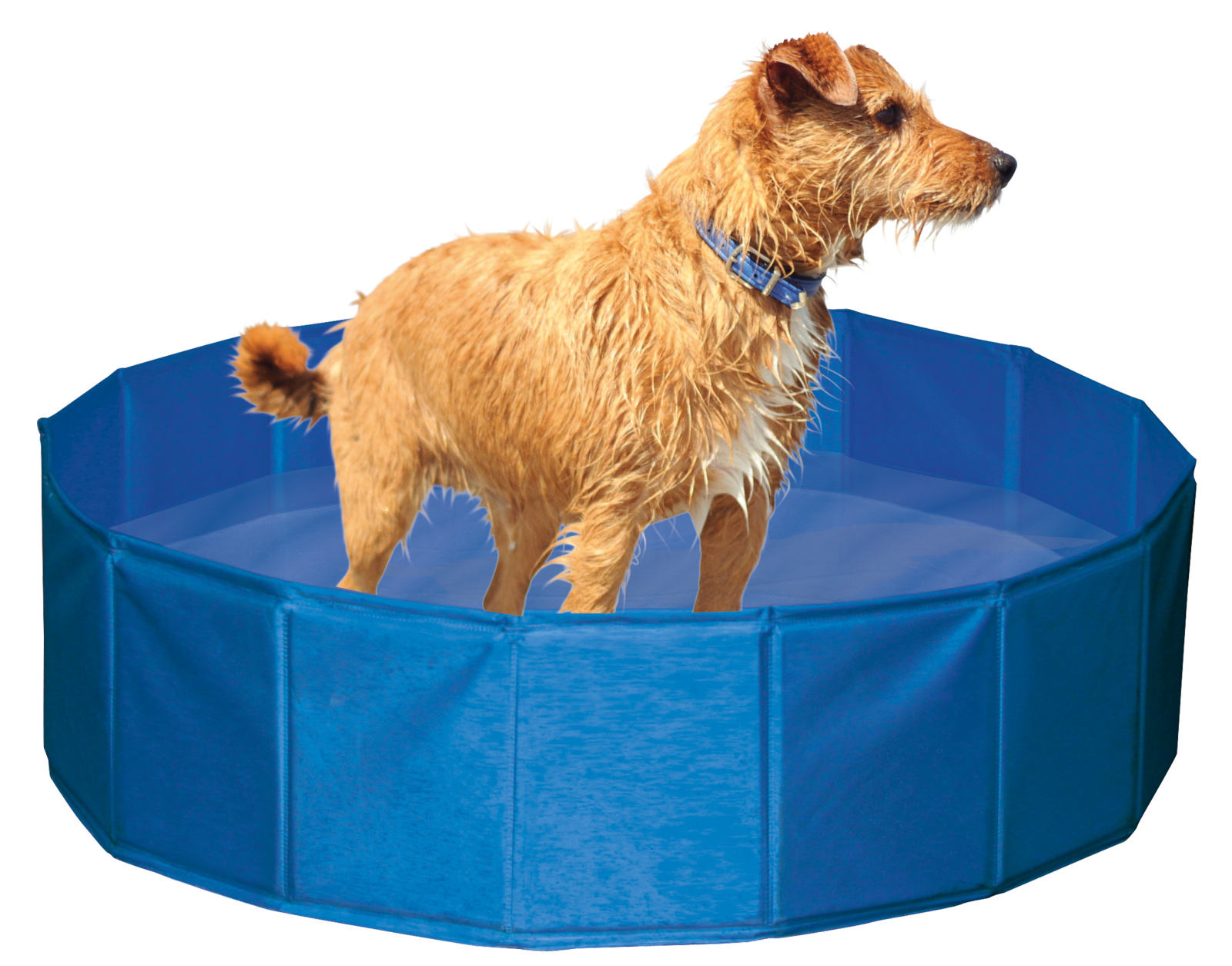 Kerbl Pet Dog Pool piscina cane pieghevole antiscivolo