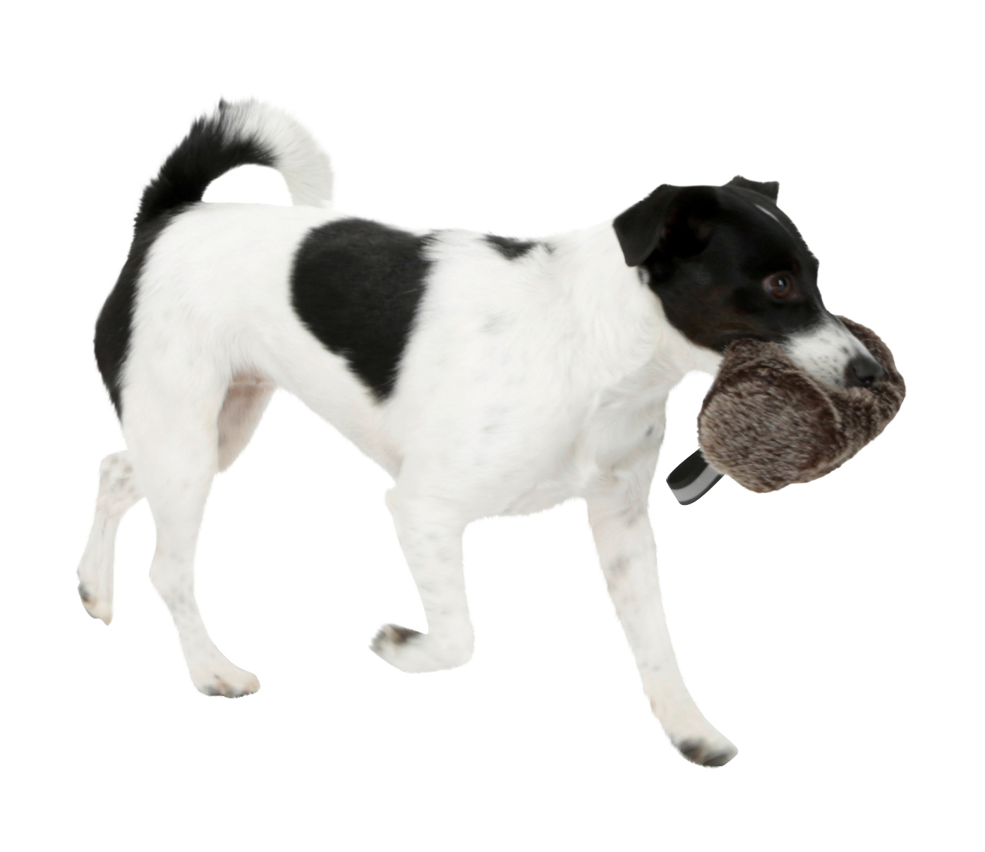 Kerbl Pet Snack Dummy cane peluche riporto snack