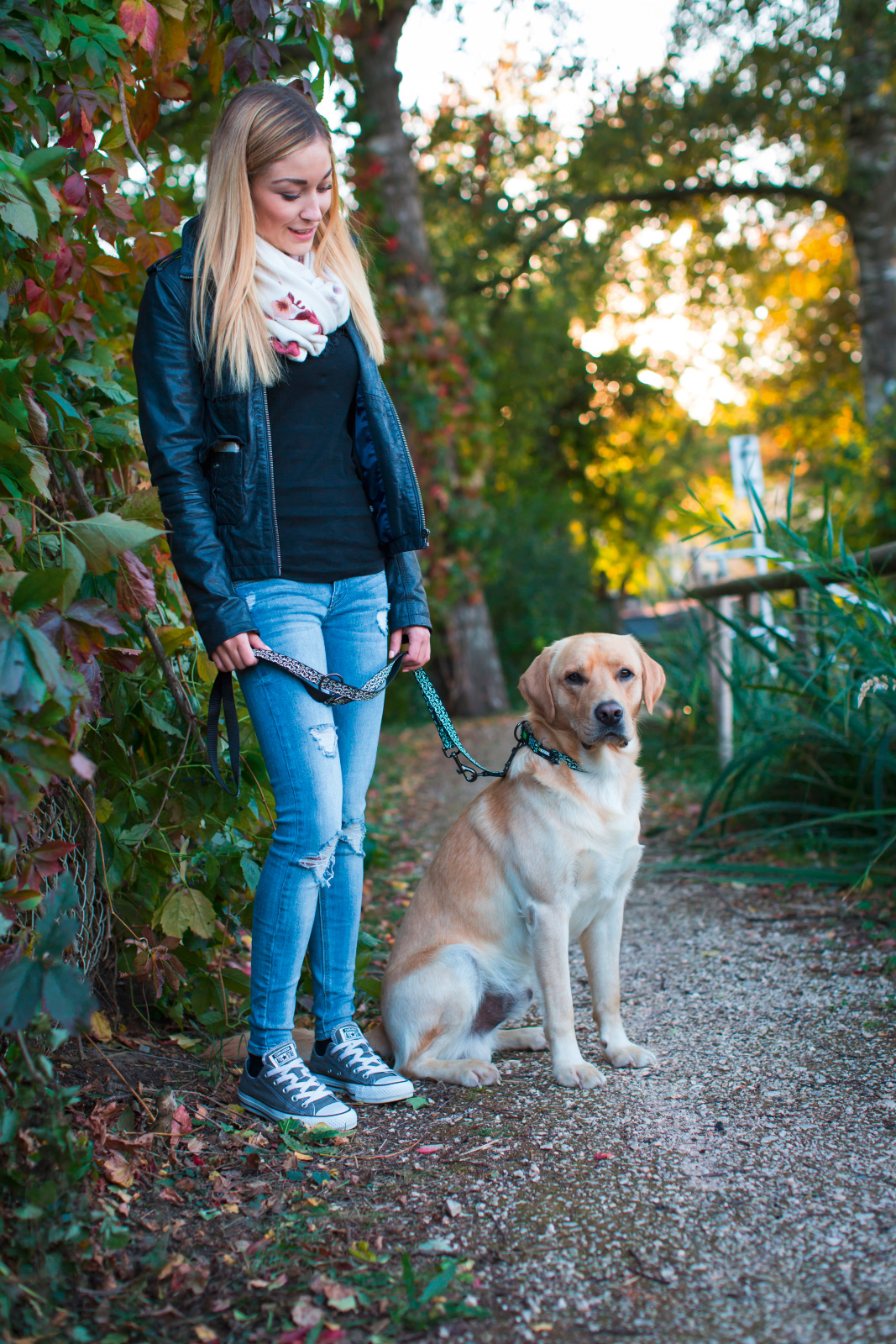 Kerbl Shiny Night guinzaglio addestramento cane nylon riflettente