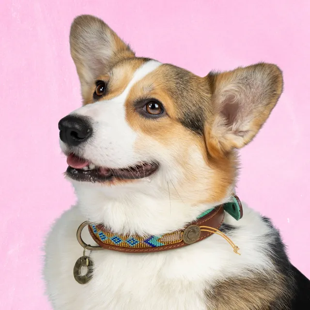 Dog with a Mission Beads Indi Moon Collare Perline Oro L