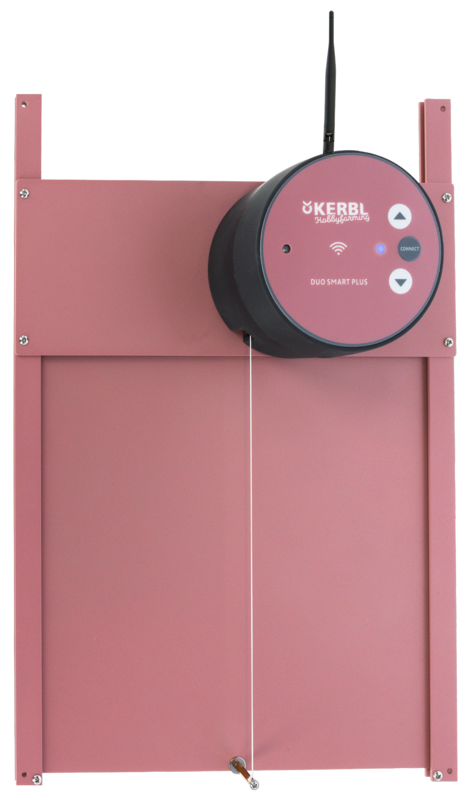 Kerbl Pet porta automatica pollaio set completo con sensore luce