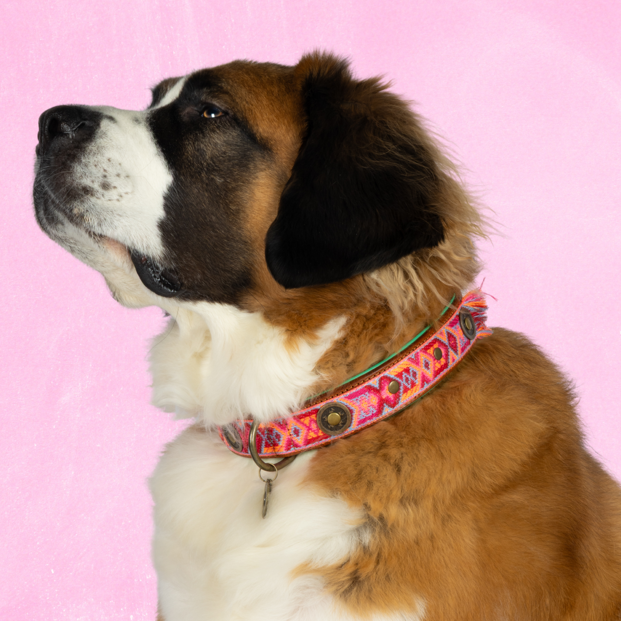 Dog with a Mission Boho Rosa Collare Cane XXL 58-65 cm