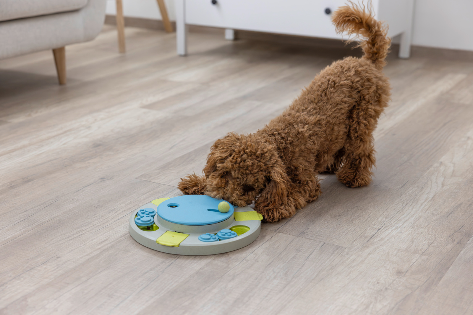 Kerbl Pet Turnley gioco intelligenza cane e gatto con snack