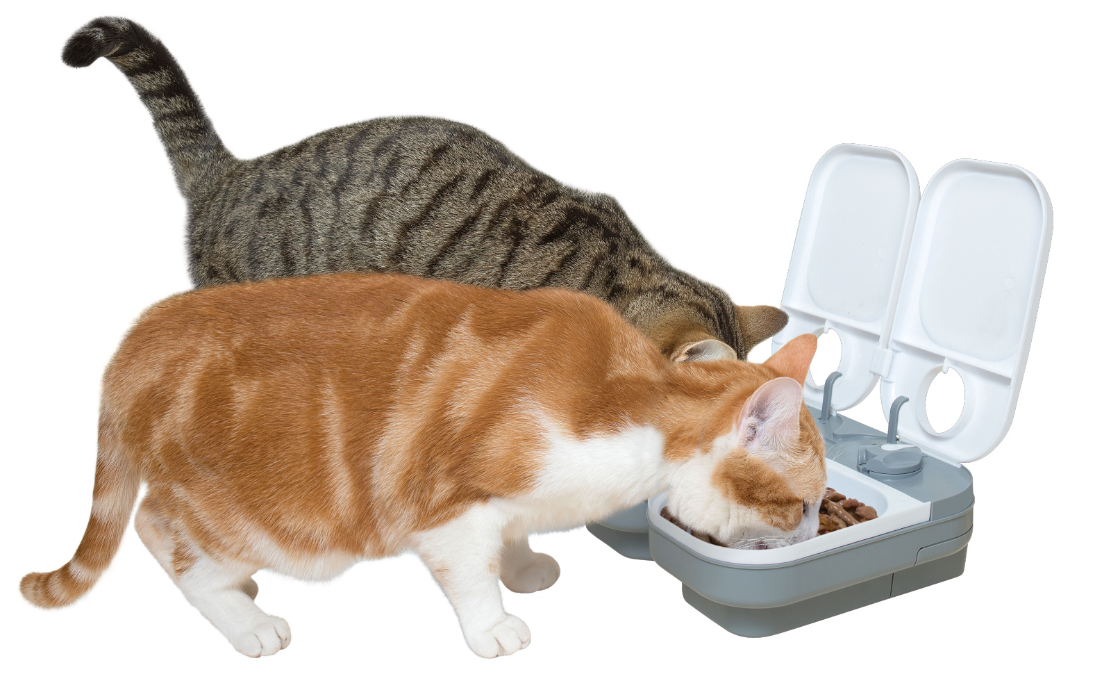 Cat Mate C200 mangiatoia automatica gatto 2 vaschette 400 g
