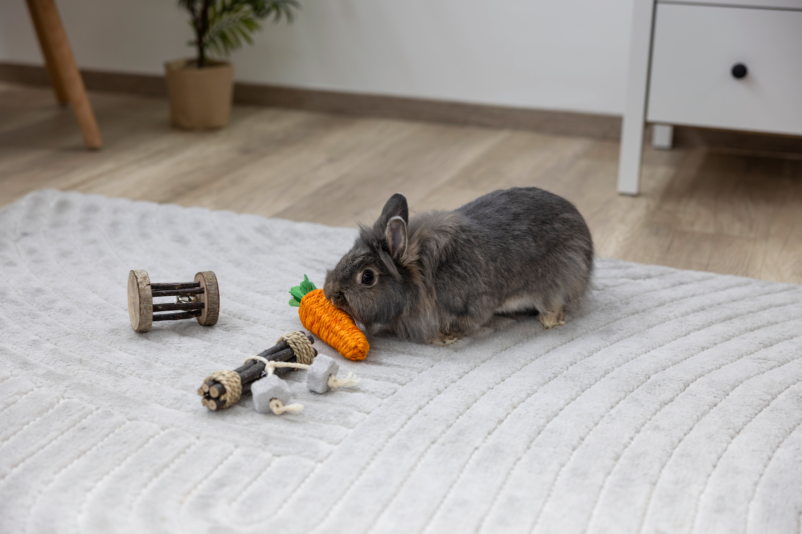 Kerbl Pet Sisal Carrot gioco roditori sisal denti antistress