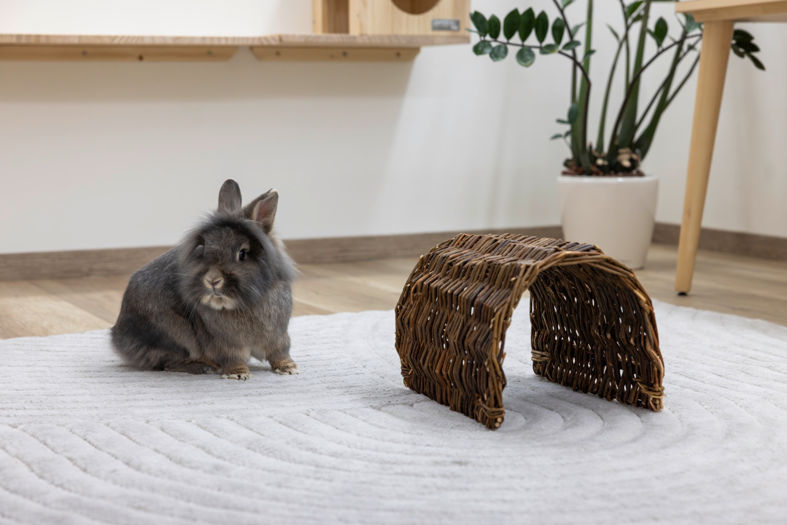 Kerbl Pet Grazing Tunnel tunnel per roditori in salice naturale