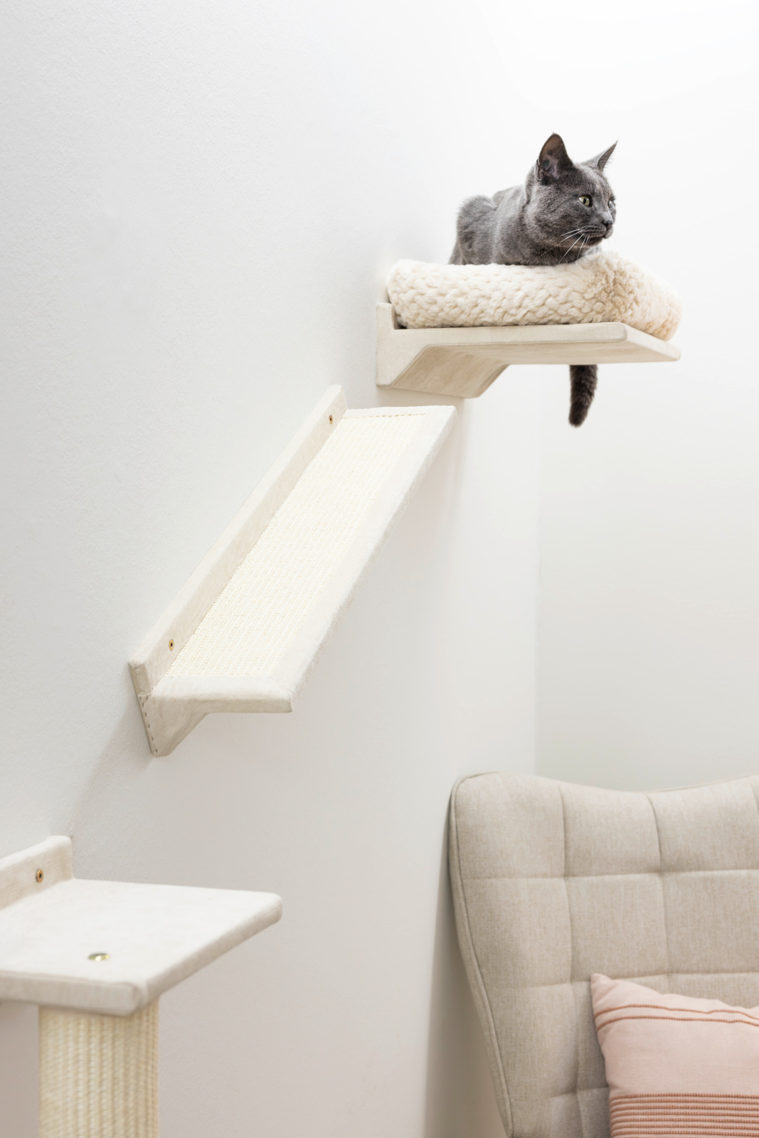 Kerbl Pet Monte Prado parete arrampicata gatto 6 pezzi
