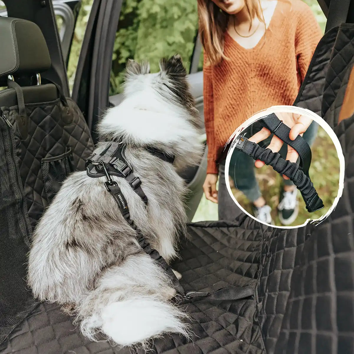 Rudelkönig Reise-Set kit auto cane nero trapuntato