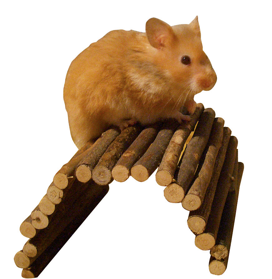 Kerbl Pet Wooden Bridge ponte legno roditori 13x21 cm flessibile