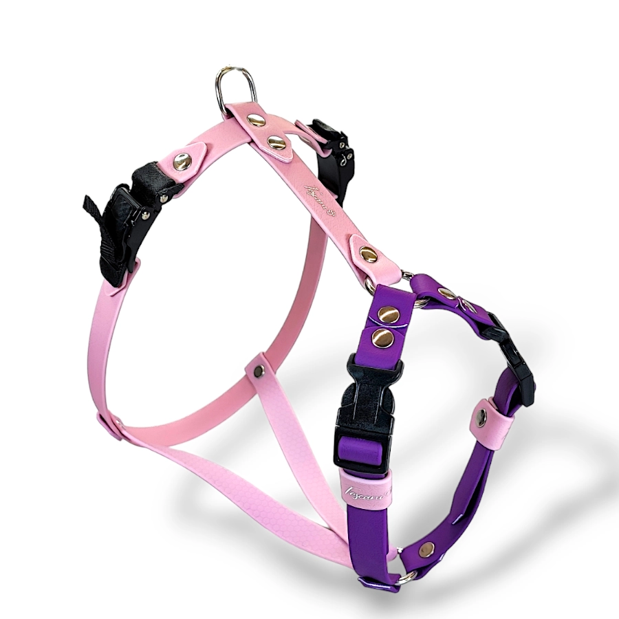 Toscani Waterproof Pettorina H Ultra Classic Regolabile per Cani