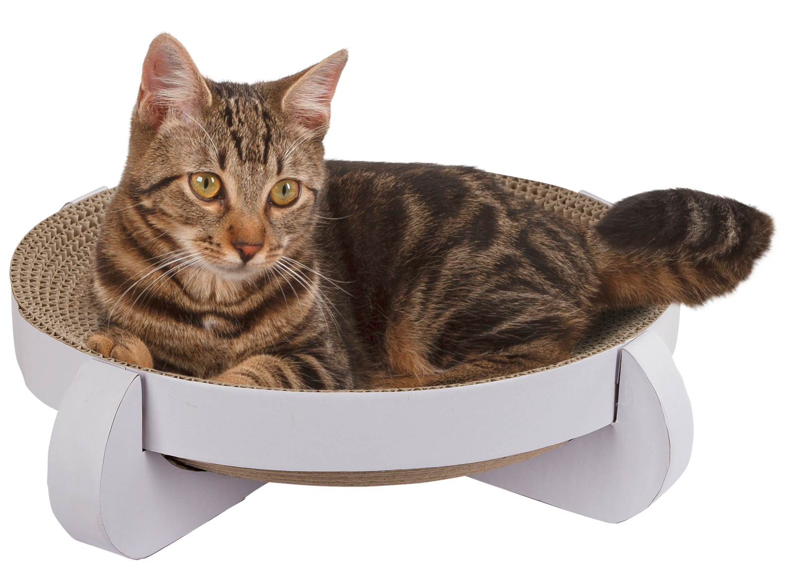 Kerbl Pet Cat Scratch Bed Platinum tiragraffi cartone