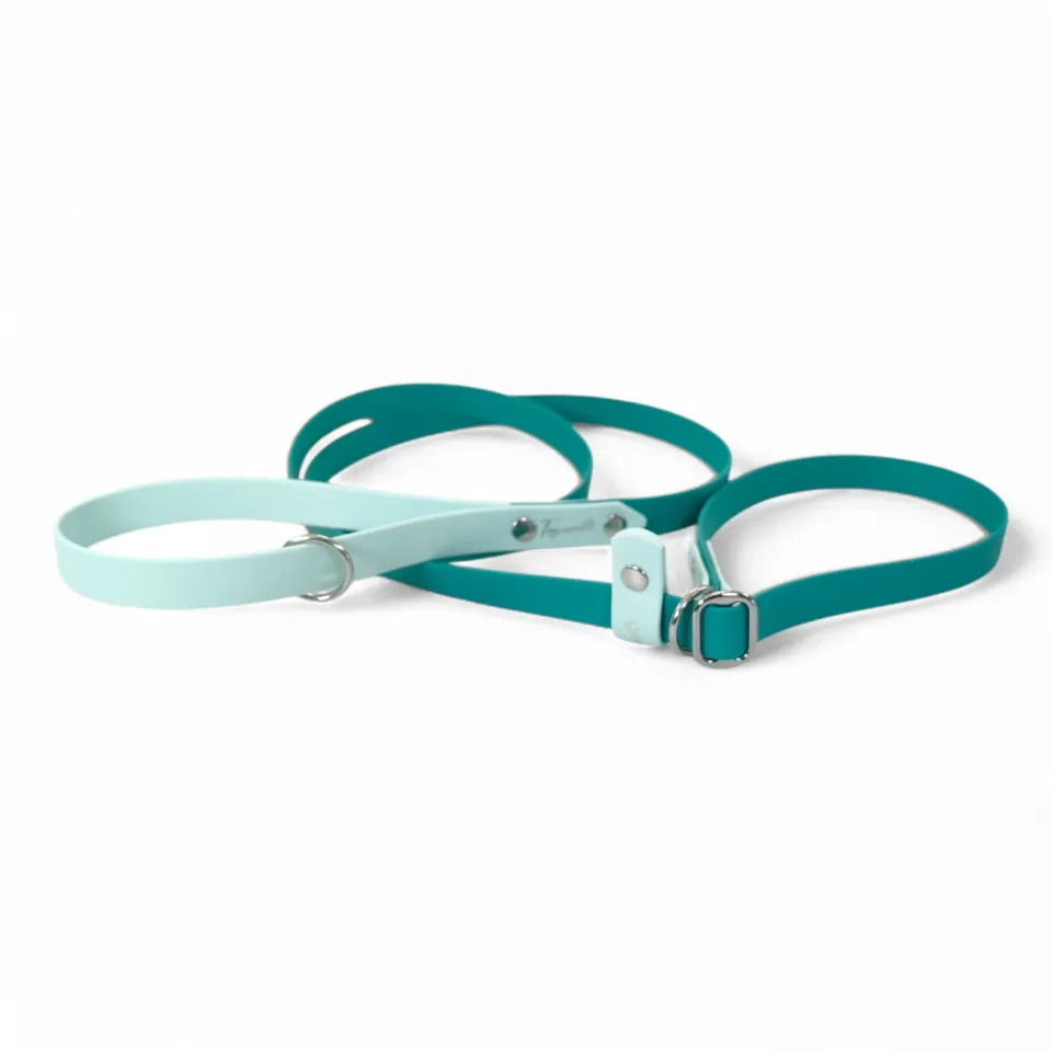 Toscani Waterproof Guinzaglio Retriever Cane 20 mm