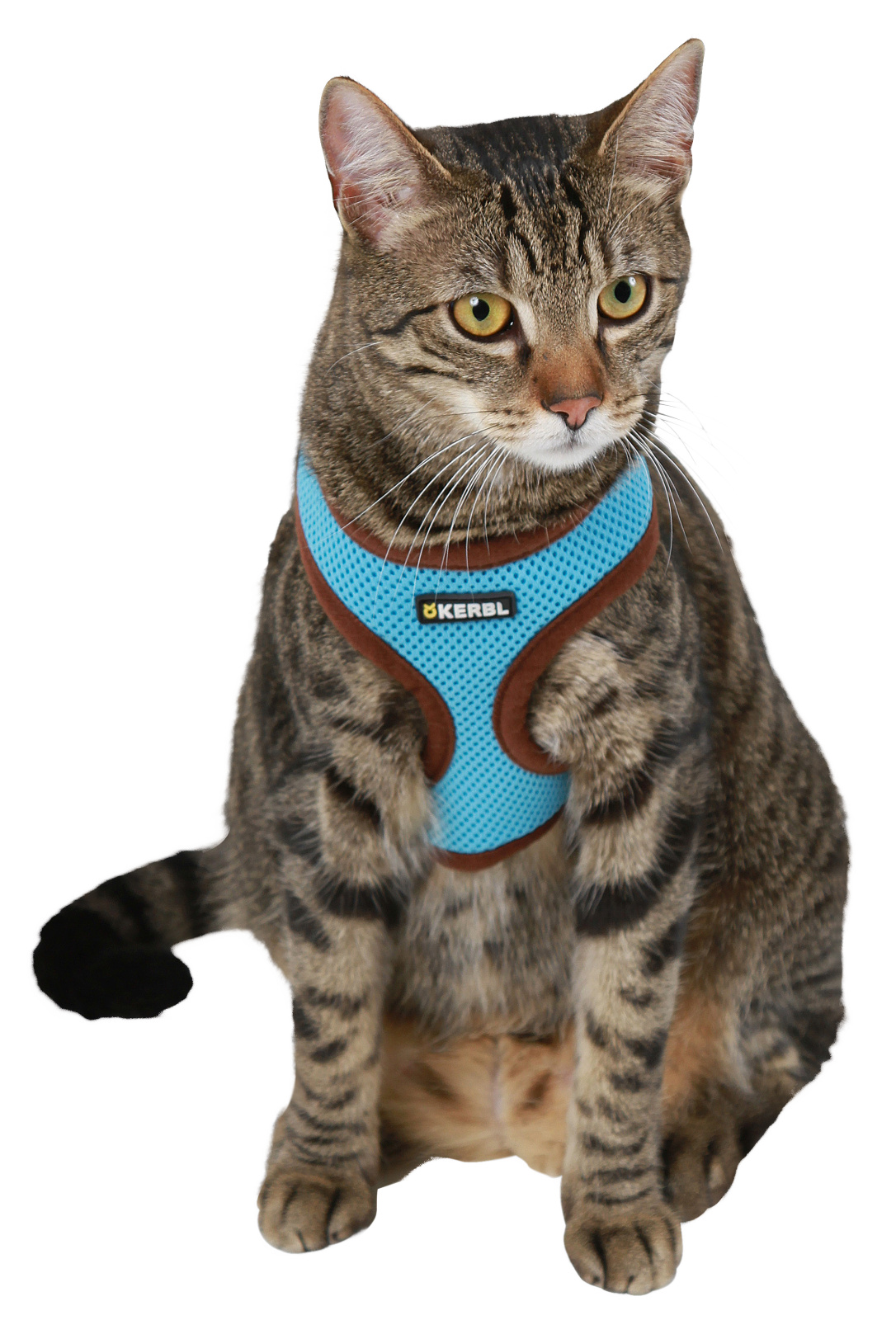 Kerbl Pet Cat Harness Active pettorina gatto mesh con guinzaglio