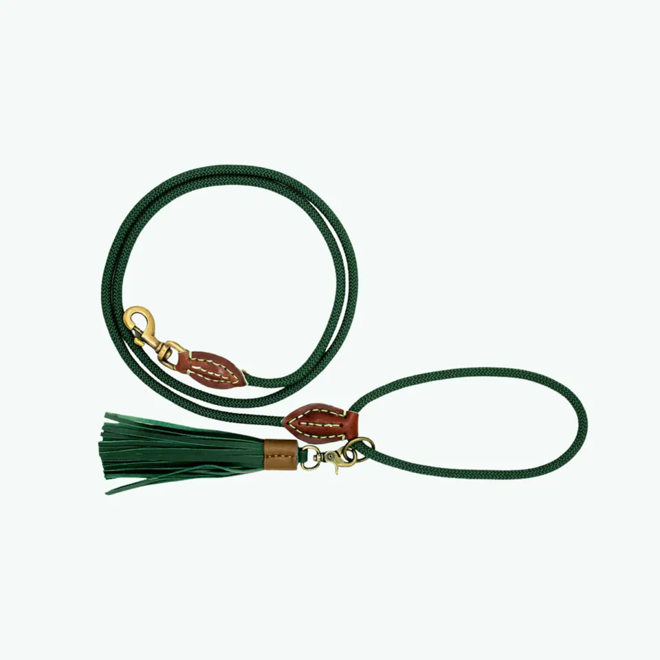 Dog with a Mission Classic Bowie Guinzaglio Cane S Verde 155 cm Pelle