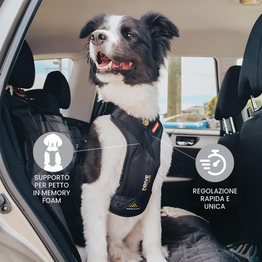 EzyDog Travel Drive Pettorina Auto Cane S Nero Crash-Test
