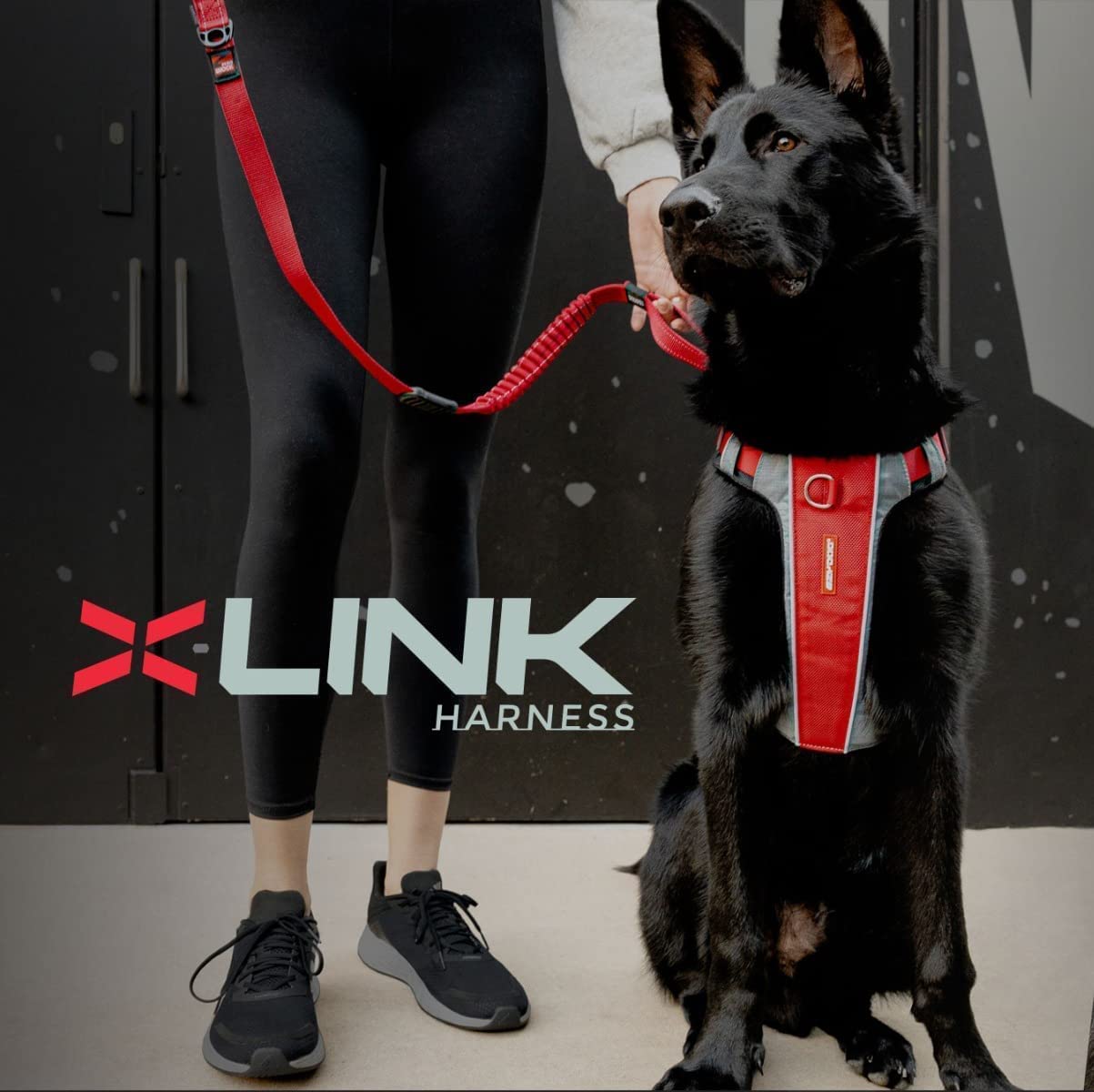 EzyDog X-Link pettorina per cani S verde oliva anti-tiro