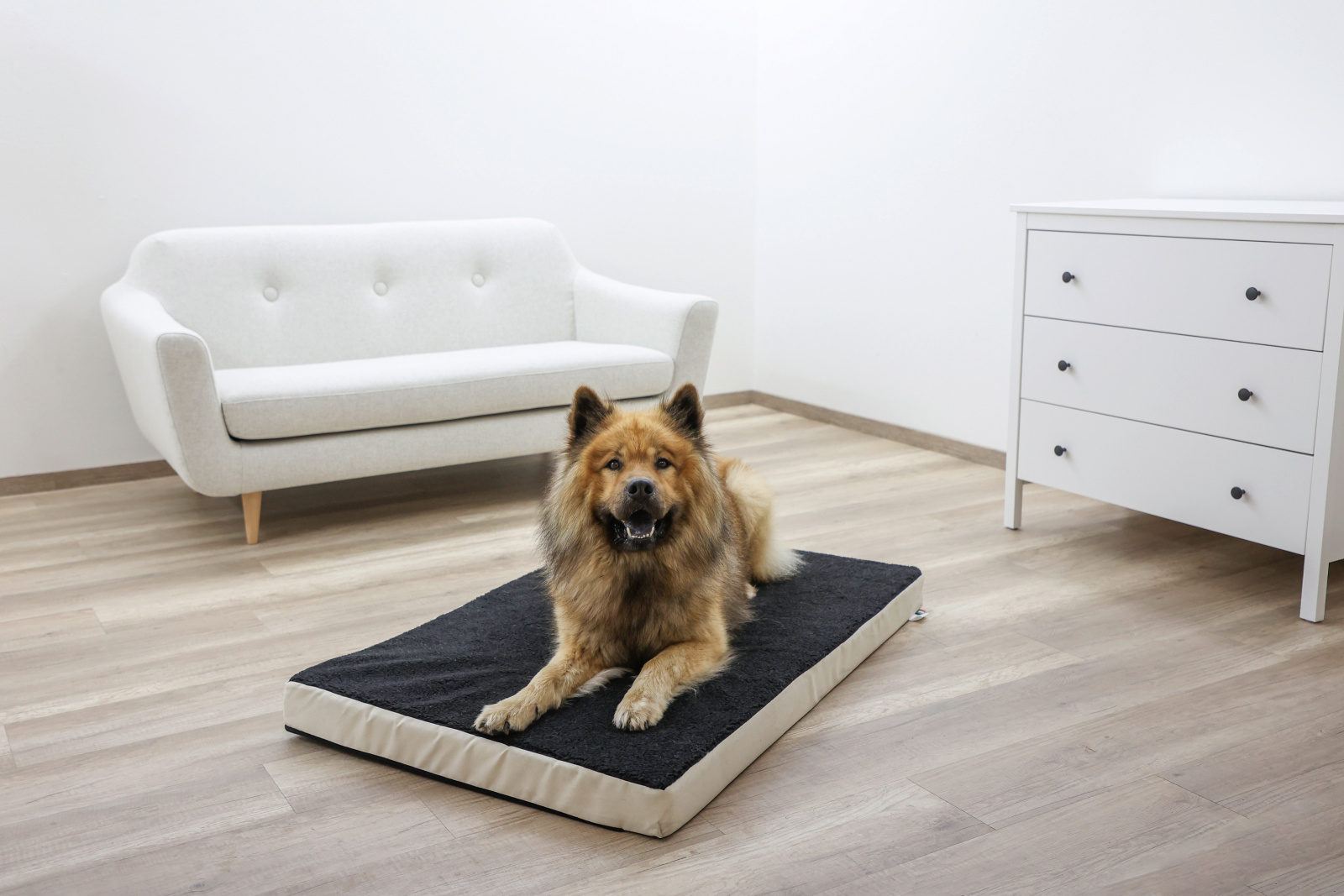Kerbl Pet Memory-Foam materasso cane ortopedico memory