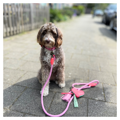 Dog with a Mission Sweety collare cane M rosa cuori 34-39 cm