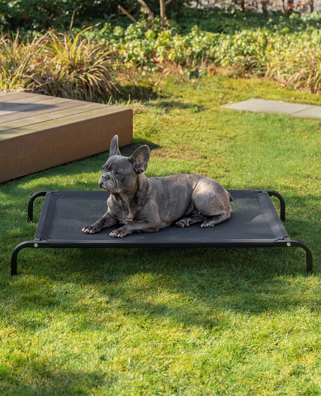 Lionto Hundebetten brandina rialzata cani nera 114x76 cm estiva