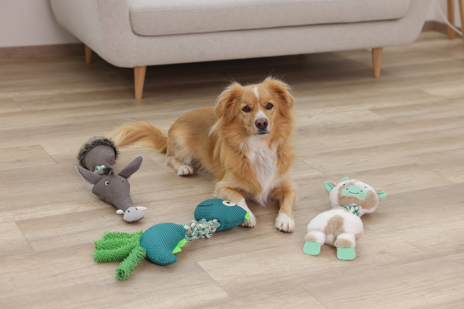 Kerbl Pet Dog Toy Expand gioco per cani con expander e squeaker