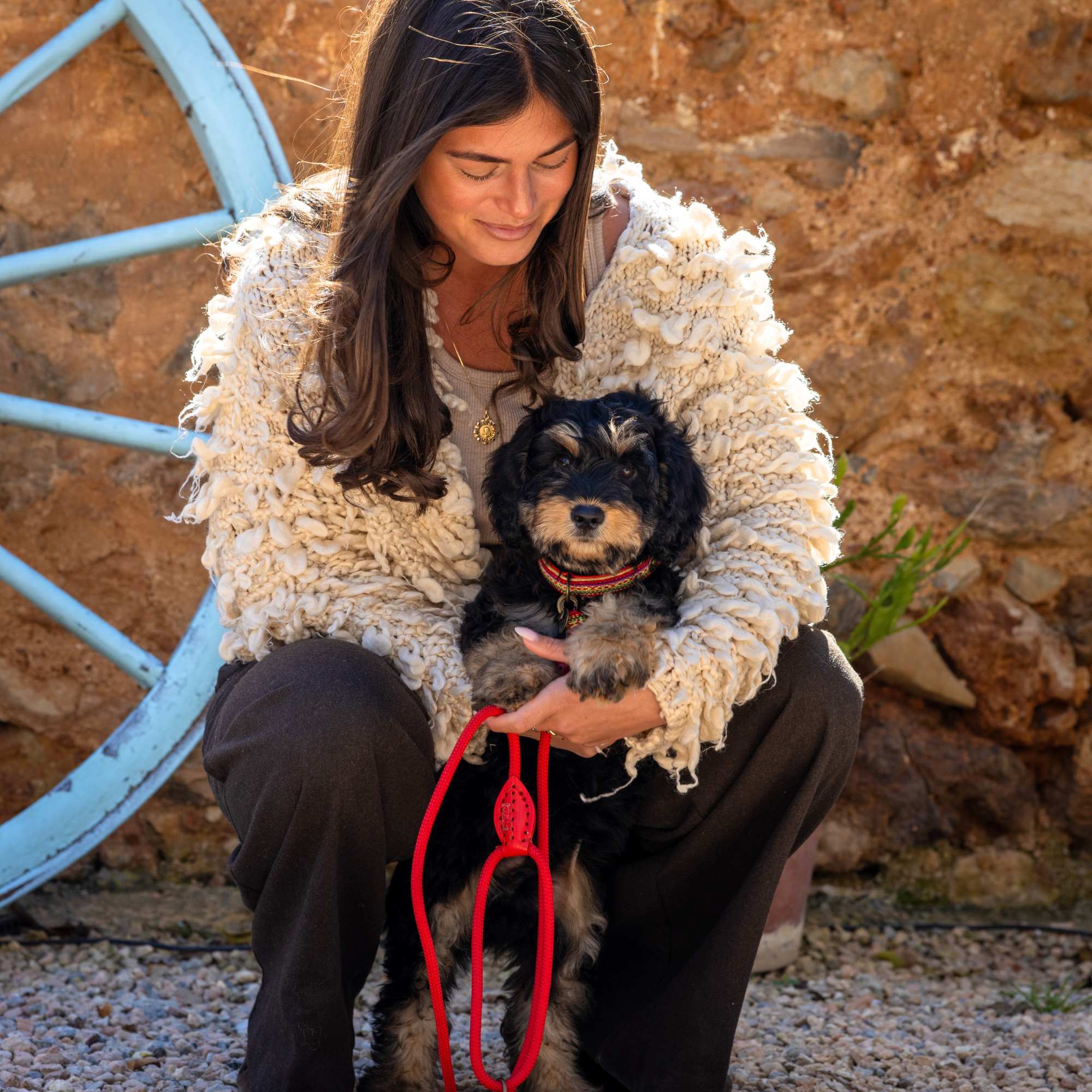Dog with a Mission Gypsy XXS collare cane rosso 22-24 cm