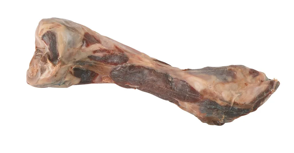 Kerbl Pet Italian Bacon Bone osso snack maiale per cani