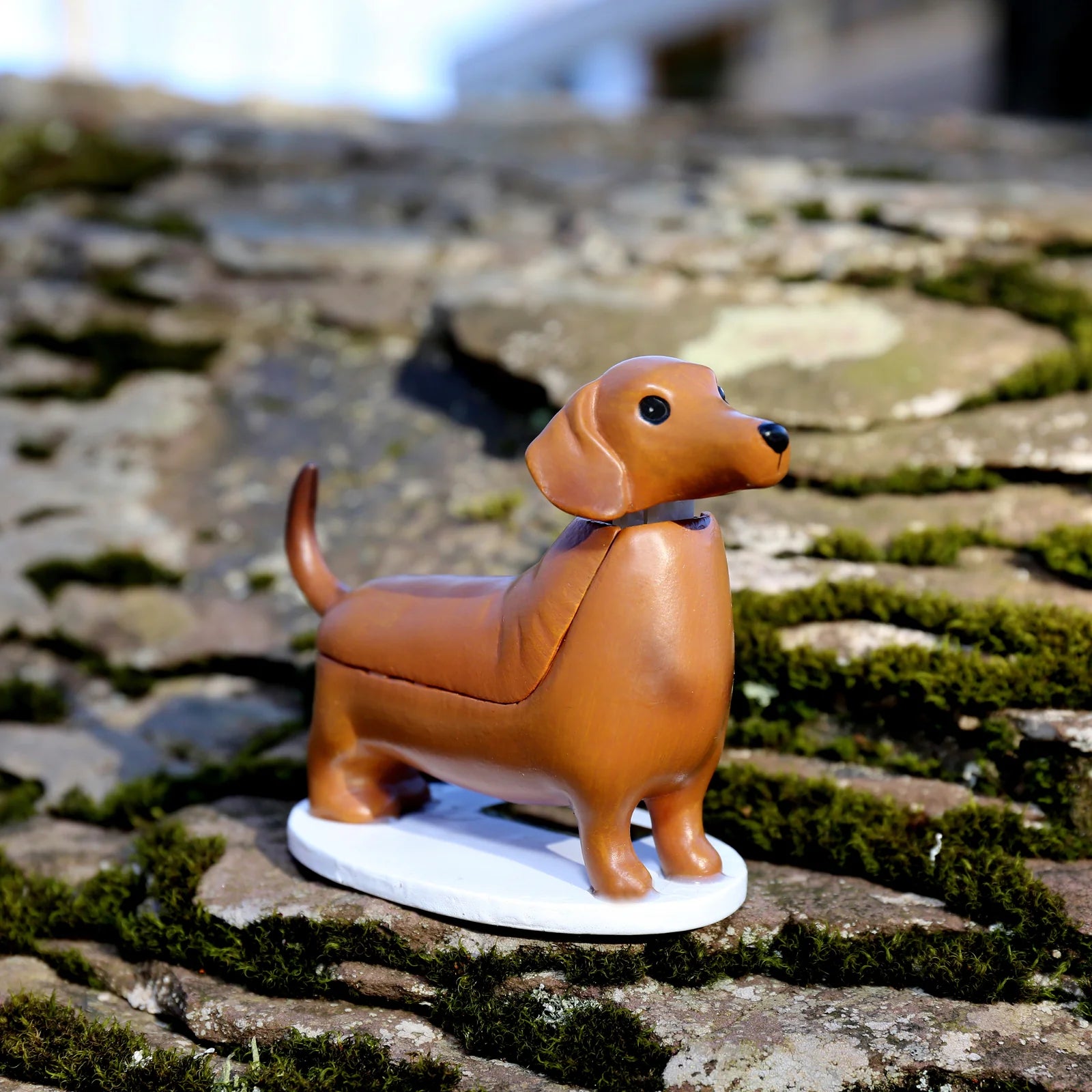 Dog with a Mission Boudewijn bassotto solare da tavolo