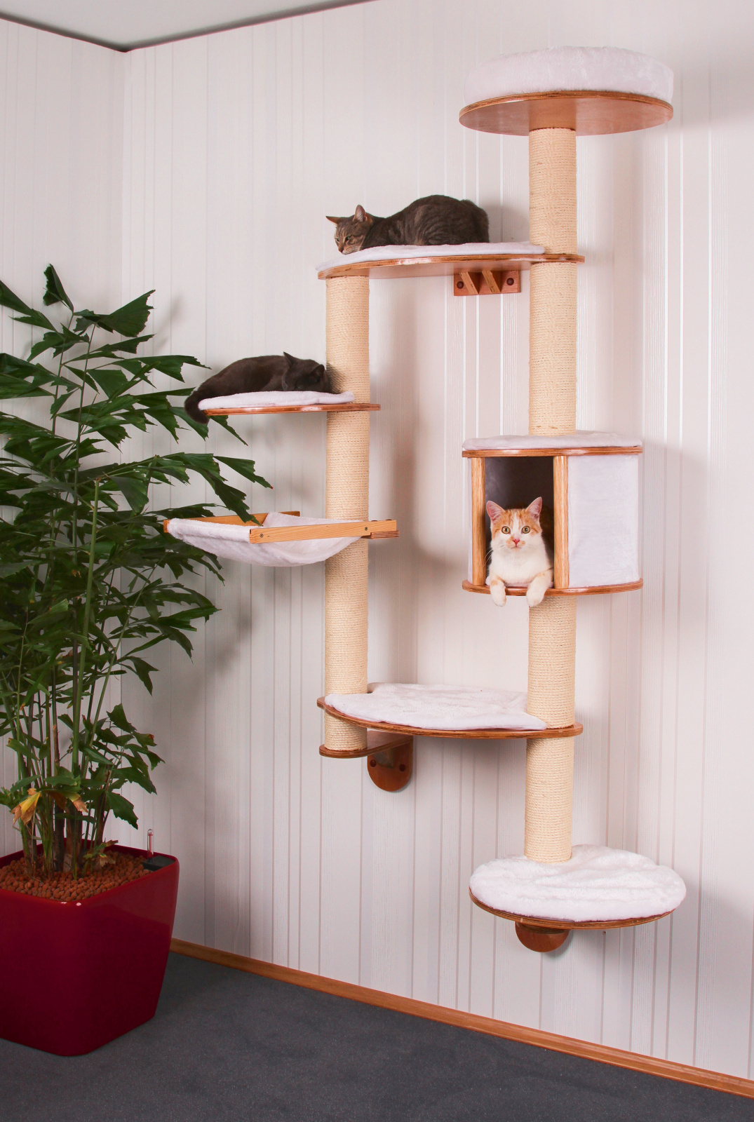 Kerbl Pet Dolomit XL tiragraffi parete gatto 8 posti con cuccia
