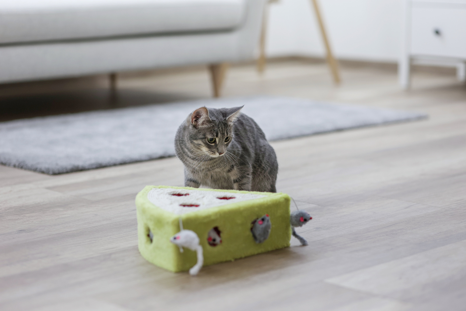 Kerbl Cat Toy Sisal Toy Cheesy gioco gatto sisal