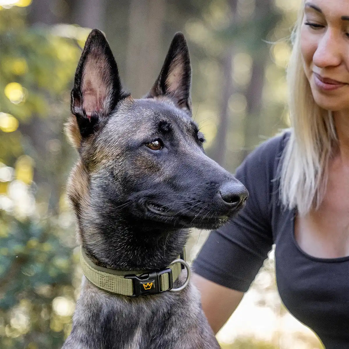 Rudelkönig Bella collare cane regolabile khaki