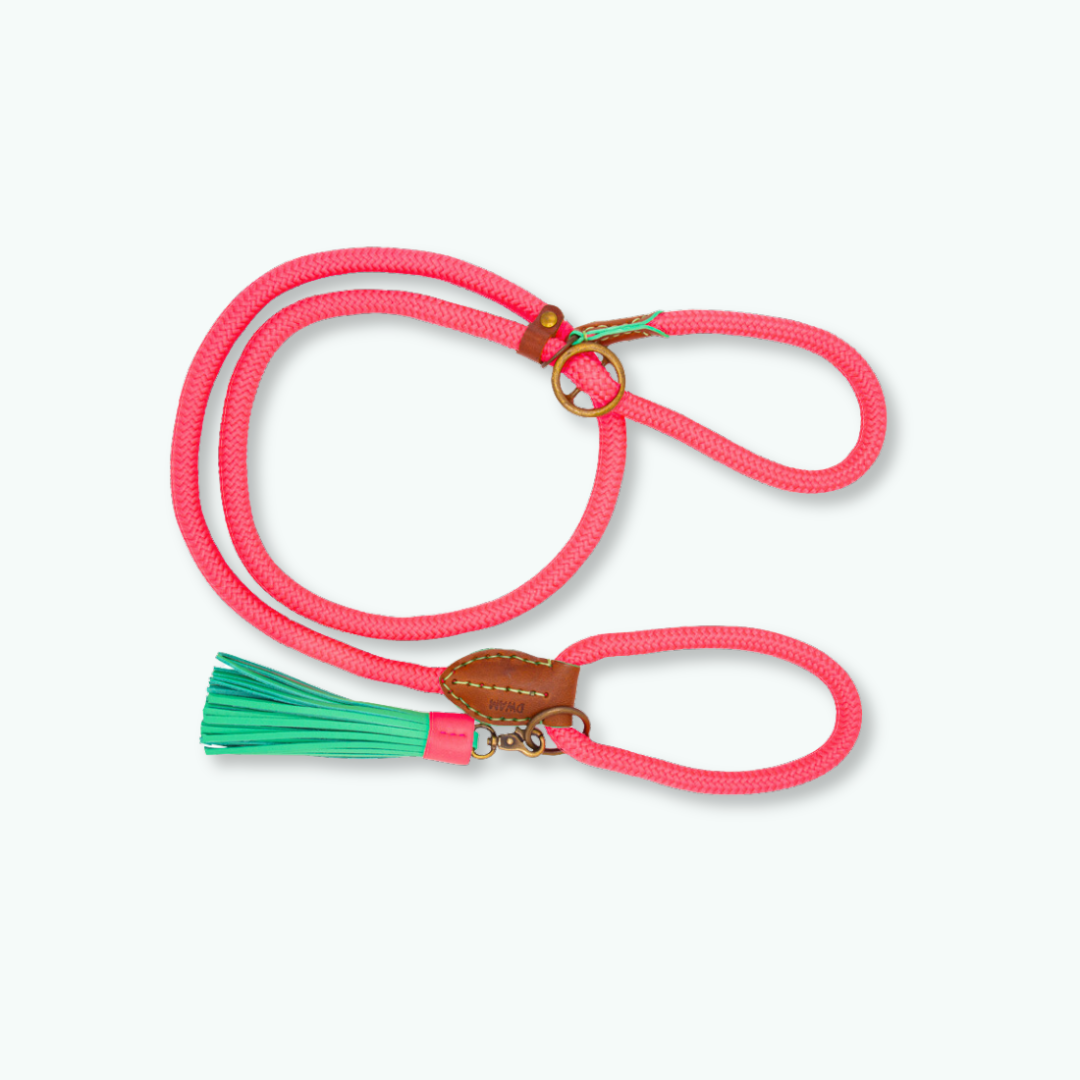 Dog with a Mission Hondenriemen Long John Sugarbabe guinzaglio rosa