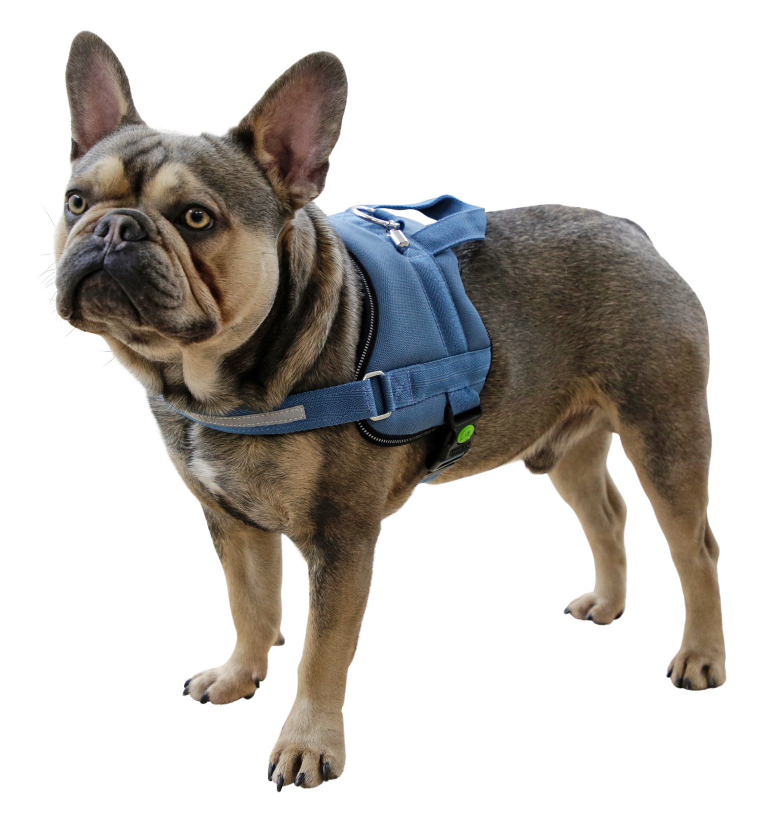 Kerbl Maestro 2.0 pettorina cane regolabile riflettente