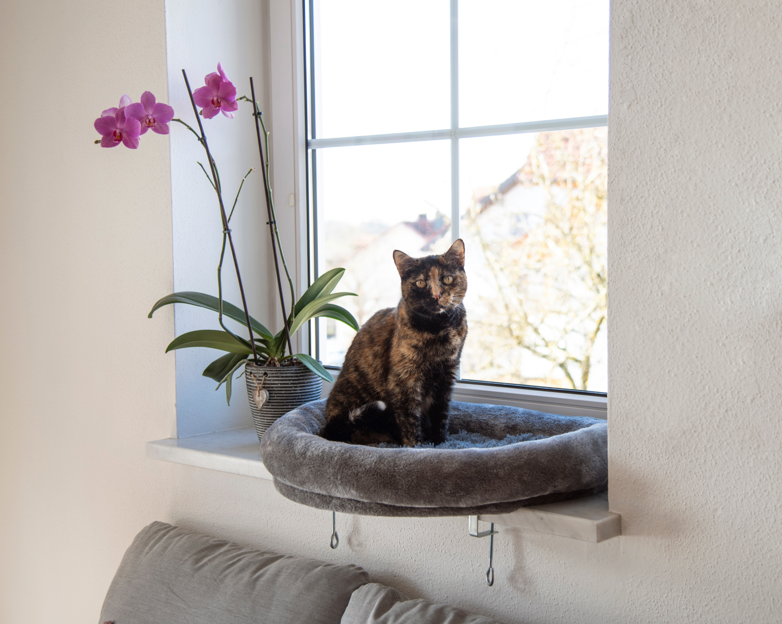Kerbl Pet Window Bed lettino gatto finestra davanzale lavabile