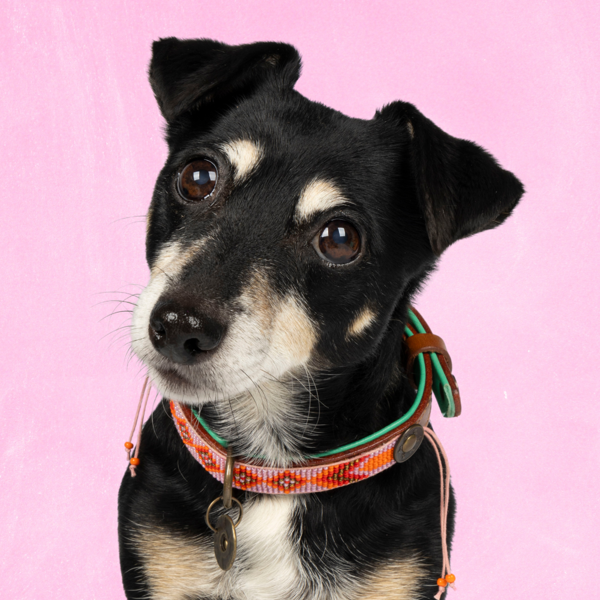 Dog with a Mission Sweet Mae collare cane S 30-33 cm rosa