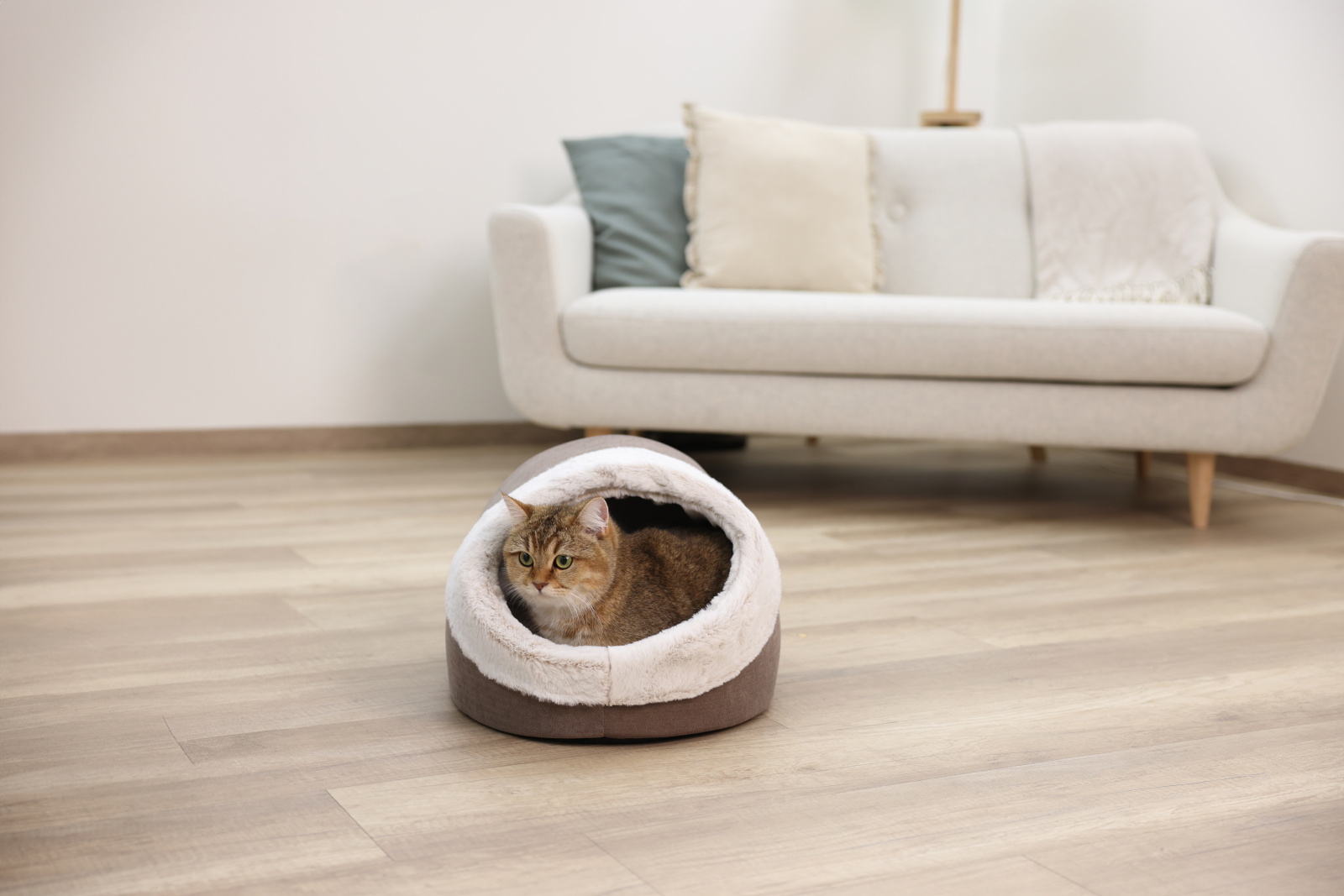 Kerbl Pet Jana cuccia grotta per gatti in peluche
