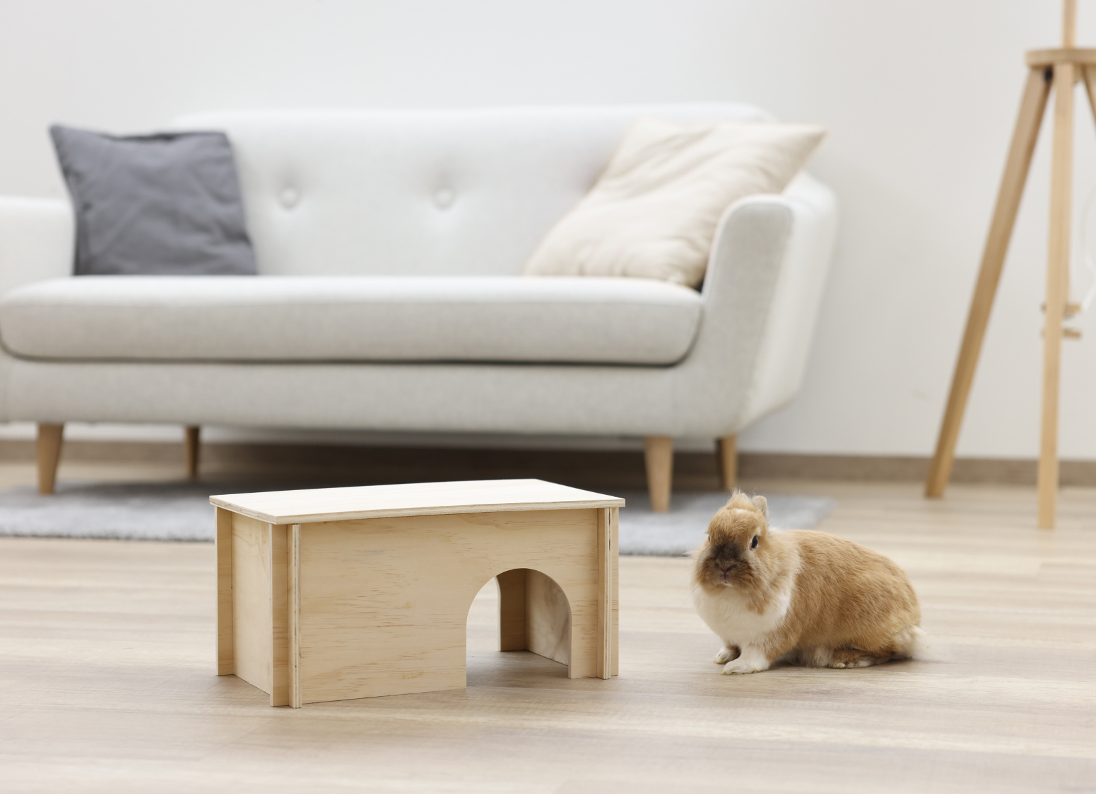 Kerbl Pet Rodent Cabin Natural casetta roditori legno