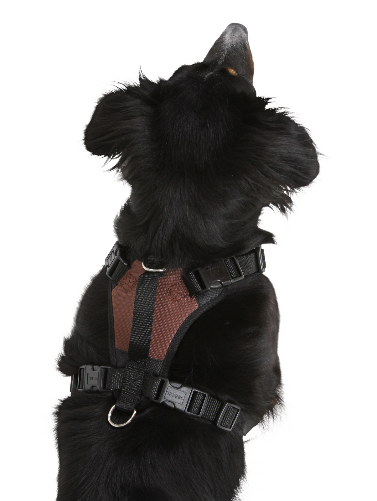 Kerbl Pet Pulsive Pettorina Regolabile Mesh per Cani