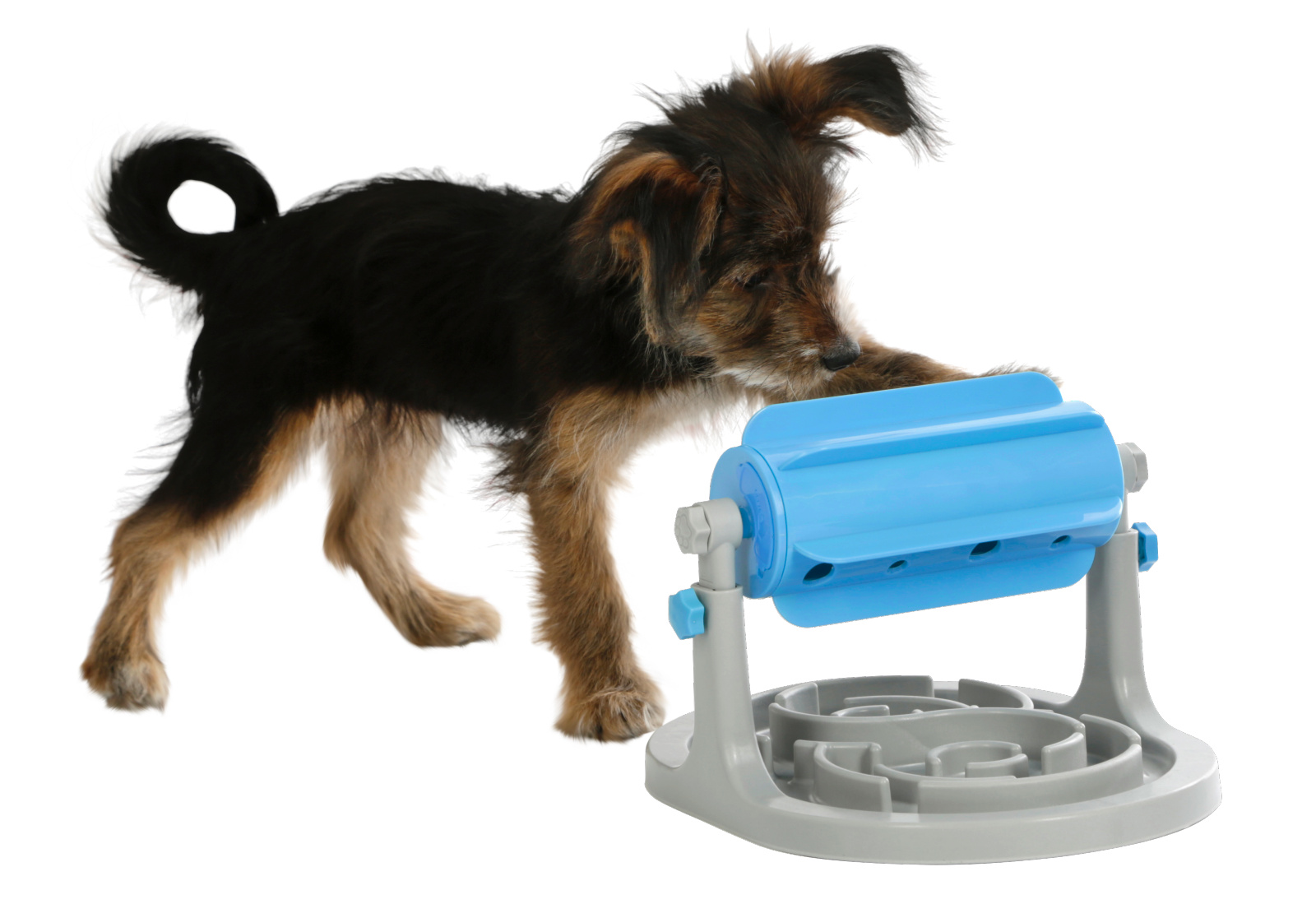 Kerbl Pet Snack Roll Anti-Schling gioco snack per cani