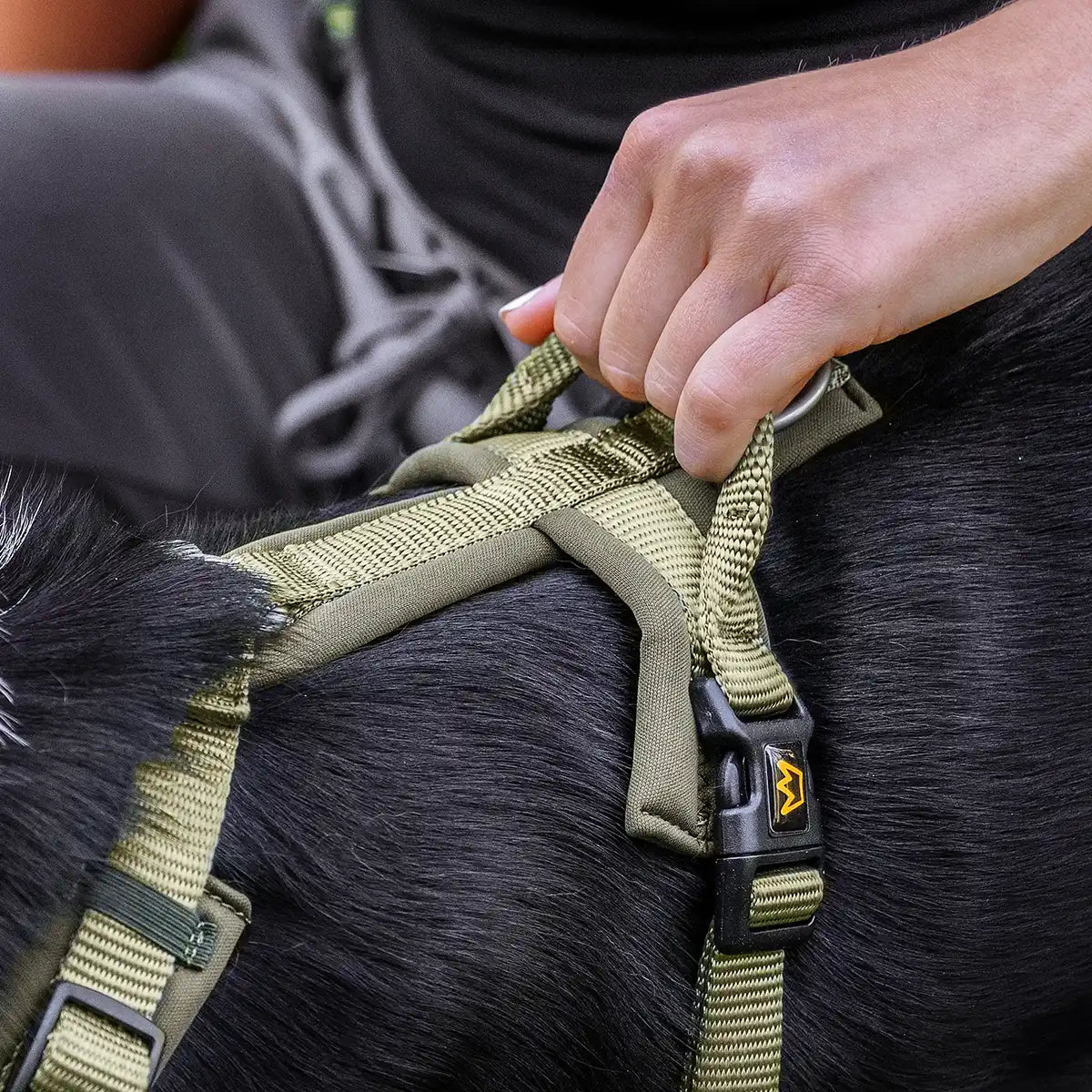 Rudelkönig Bella Set Cane Khaki Guinzaglio Pettorina Collare